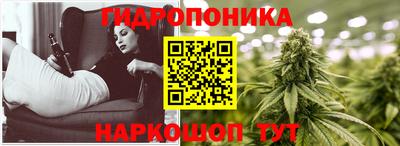 ПСИЛОЦИБИНОВЫЕ ГРИБЫ Боровичи