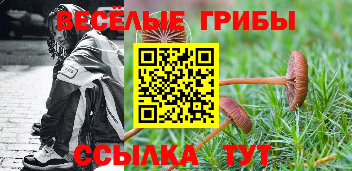 Галлюциногенные грибы GOLDEN TEACHER Ухта